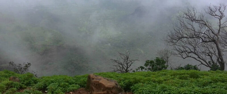 Best family view of chhattisgarh me garmi me ghumne ki jagah Mainpat