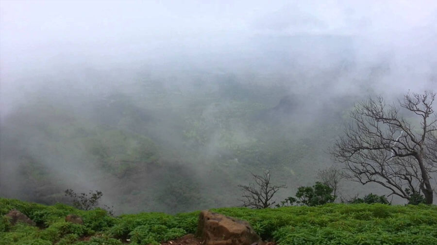 Mainpat Hill Station का हरा-भरा नज़ारा और तिब्बती मठ