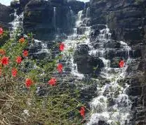 Stepped structure of Tirathgarh Waterfall Bastar