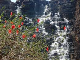 Stepped structure of Tirathgarh Waterfall Bastar