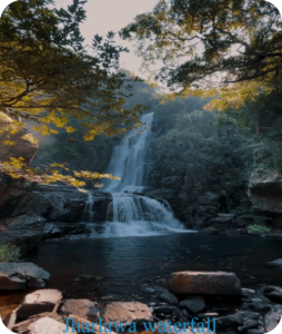 Jharalawa Waterfall Dantewada: 8 Amazing Raaz Jo Ise Instagram Par Trend Bana Rahe Hain